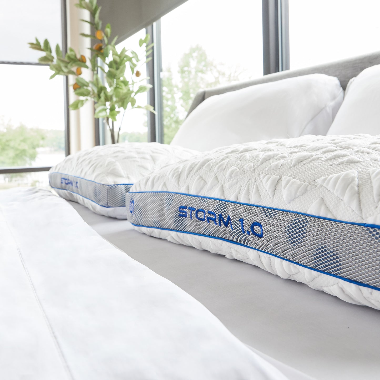 Bedgear Storm Performance Pillow