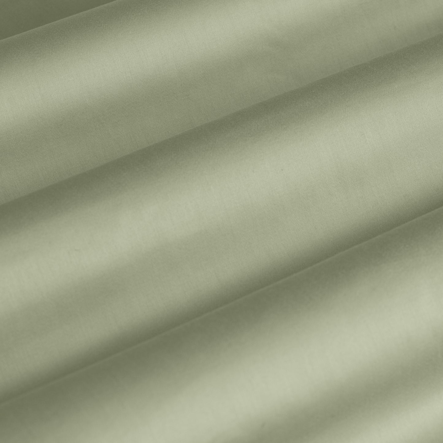 Ardor 375TC Cotton Sheet Set