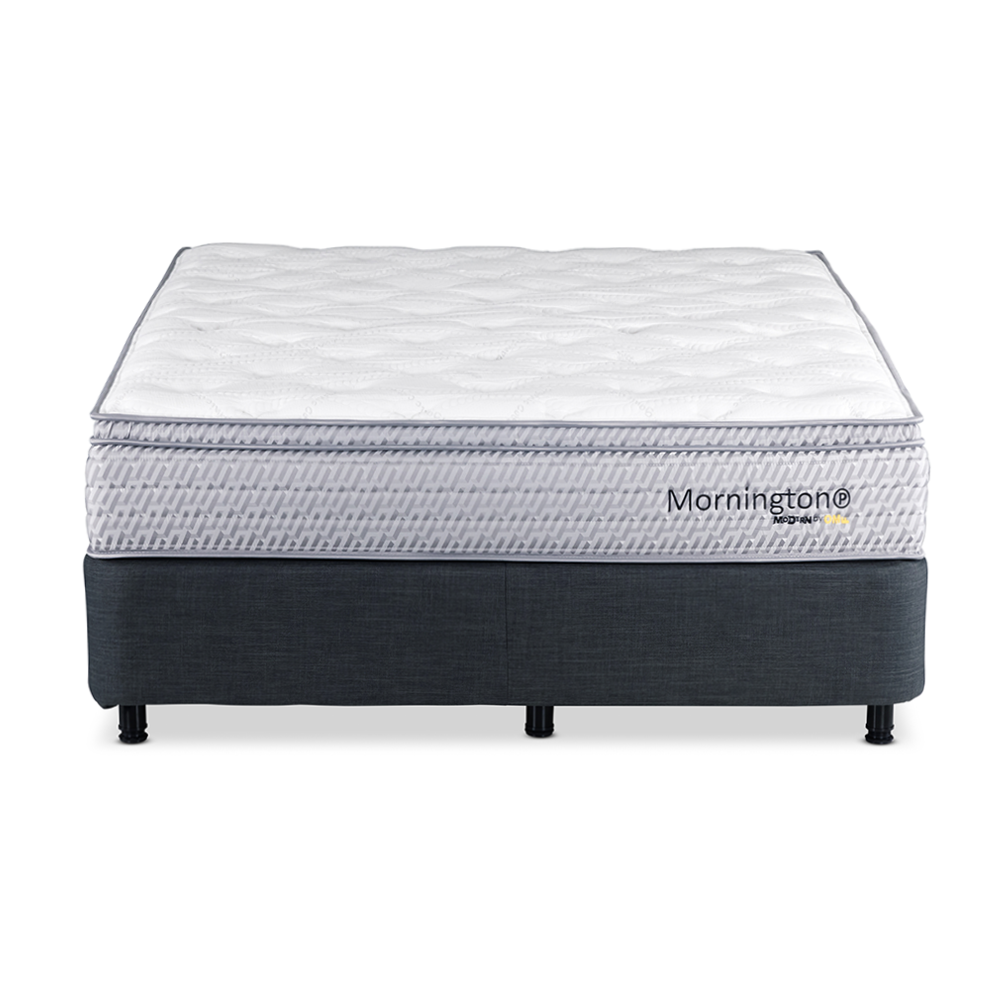 Mornington Plush Queen Mattress