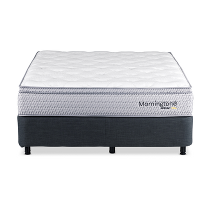 Mornington Plush Queen Mattress