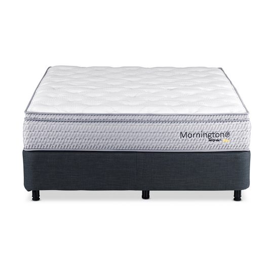 Mornington Plush Queen Mattress