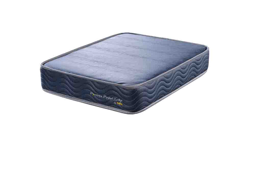 Pawsome Pet Mattress Small