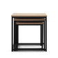 Detroit Nesting Side Tables Coffee Table Industrial (set of 3)